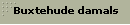Buxtehude damals